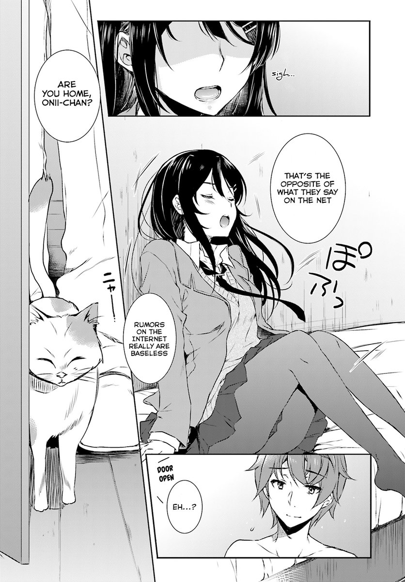 Seishun Buta Yarou wa Bunny Girl Senpai no Yume wo Minai - Chapter 4 Page 23