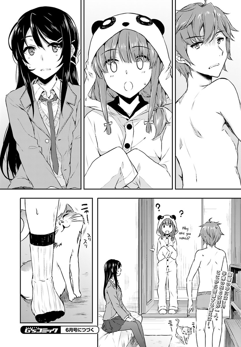 Seishun Buta Yarou wa Bunny Girl Senpai no Yume wo Minai - Chapter 4 Page 24