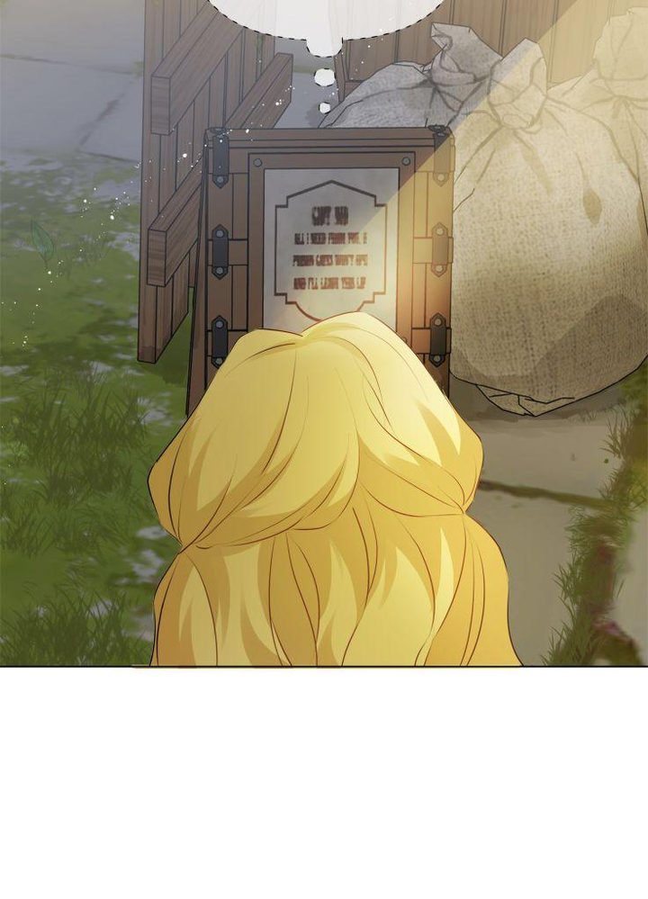 The Golden Haired Elementalist - Chapter 72 Page 94