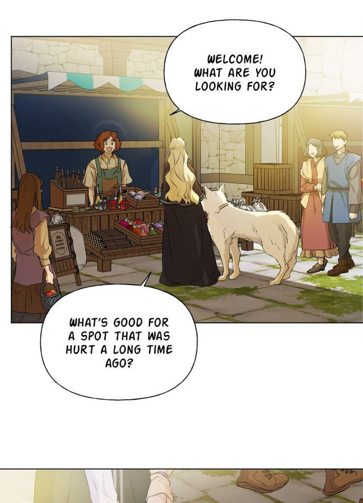 The Golden Haired Elementalist - Chapter 72 Page 95