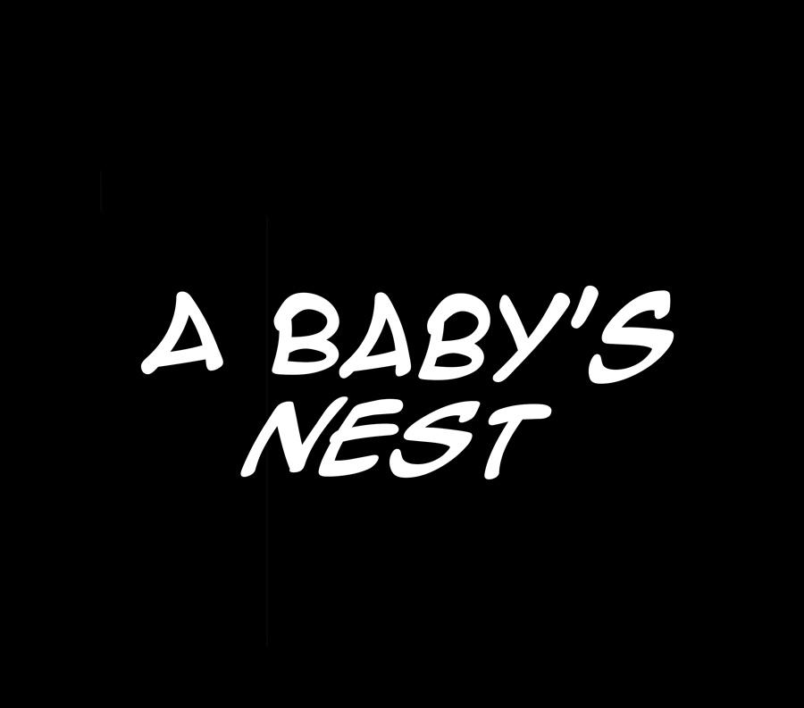 A Baby’s Nest - Chapter 12 Page 3